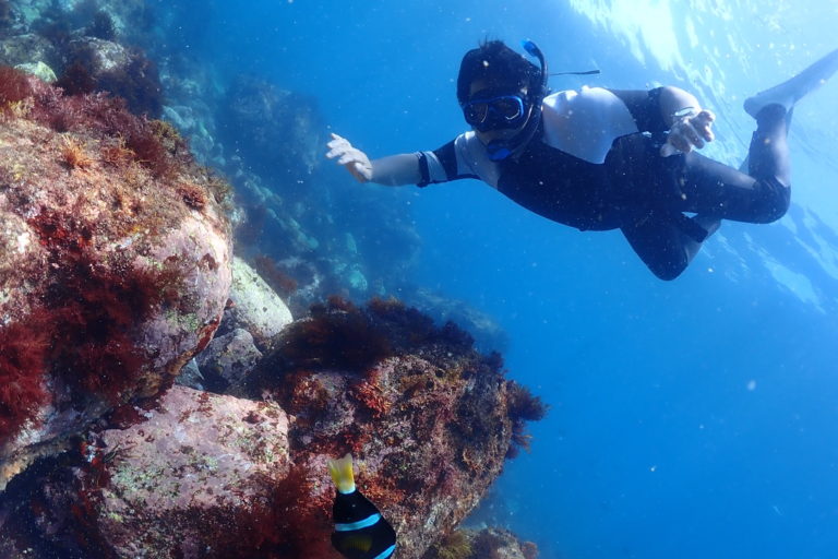 スキンダイビングの息を長く止めるコツとは Endolphin